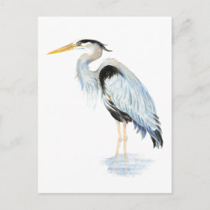 Original watercolor Great Blue Heron Bird Postcard
