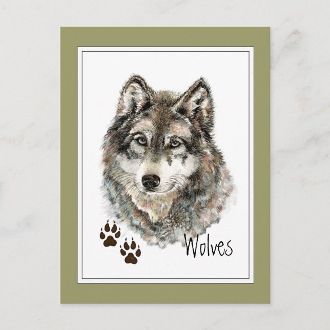 Original Watercolor Grey  Wolf- Tracks Animal Postcard (Front)