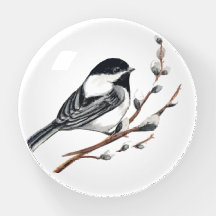 Original Watercolor Pussy Willow & Chickadee Bird