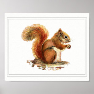 Original Watercolor Red Squirrel Nature Art Poster