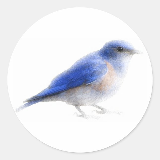 Original watercolour blue bird (bluebird) sticker (Front)