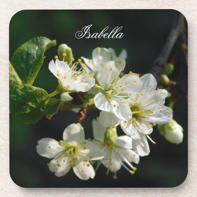 Original White Plum Art Custom Name Coaster (Front)