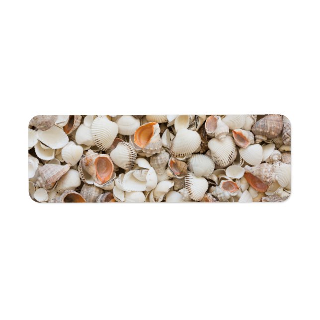Originale nature motif style Seashell arrière - pl (Devant)