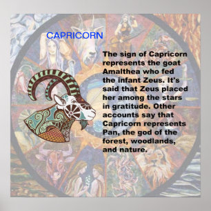 Origine du Capricorne Affiche