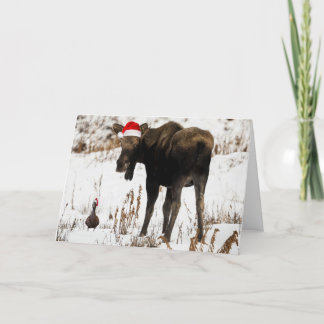 Orignaux de Noël avec la carte de vacances de