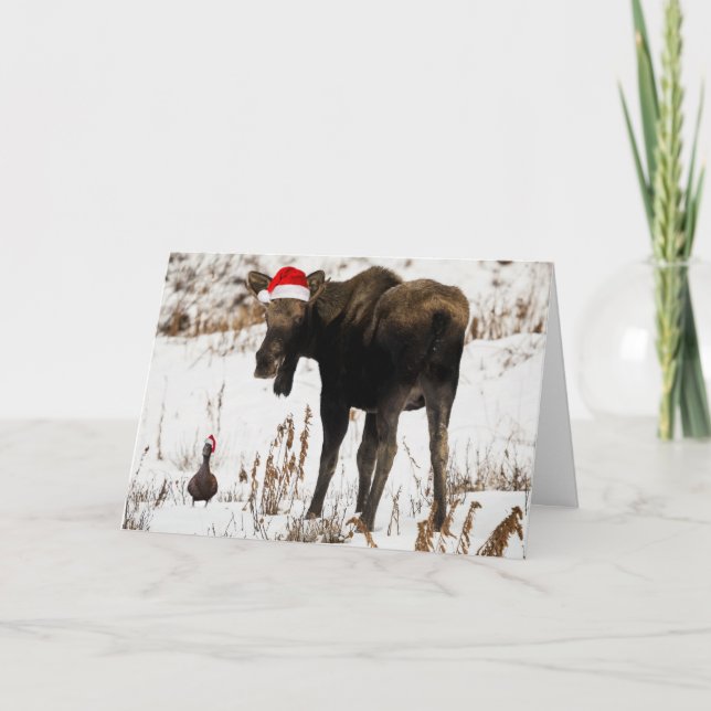 Orignaux de Noël avec la carte de vacances de (Devant)