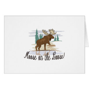 Orignaux sur le lâche !