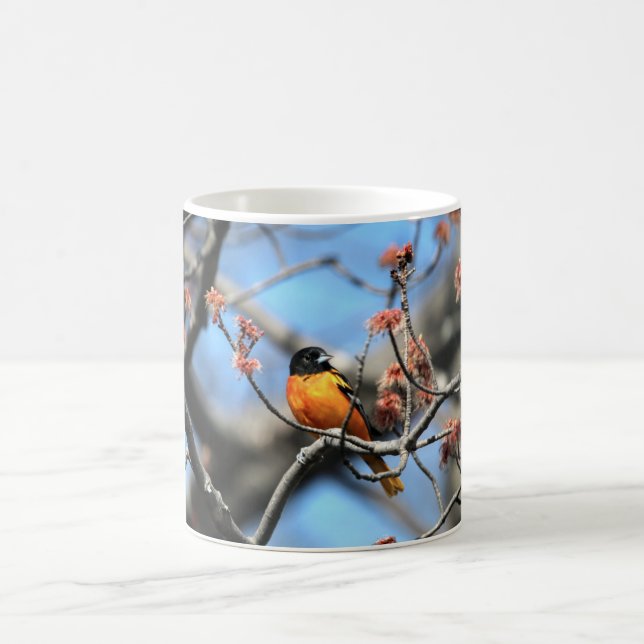 Oriole Coffee Mug (Center)