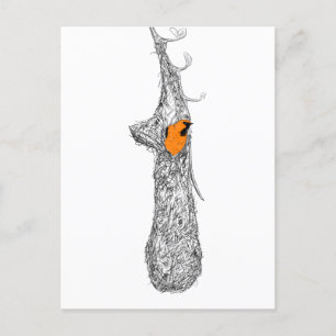 Oriole Nest Postcard