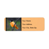 Oriole Painting - Original Bird Art