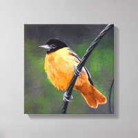 Oriole Painting - Original Bird Art