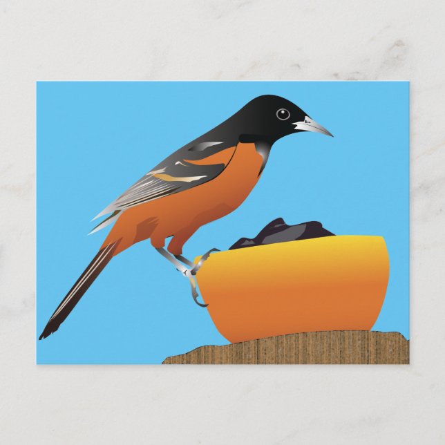 Oriole Postcard (Front)