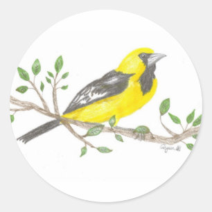 Oriole sticker