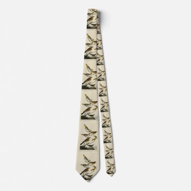 Orioles, Thrushes, from Audubon's Birds of America Tie (Front)