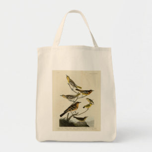 Orioles, Thrushes, from Audubon's Birds of America Tote Bag
