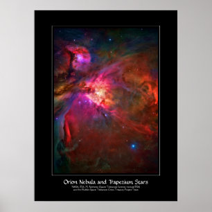 Orion Nebula and Trapezium Stars Poster