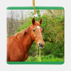 Orion the hungry horse ceramic ornament