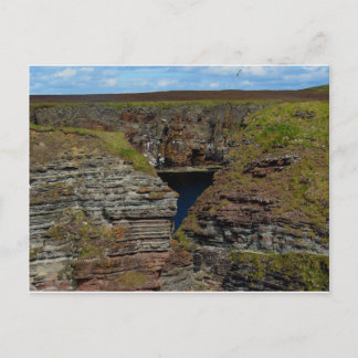 Orkney Cliffs Postcard