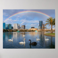 Orlando Florida Skyline Lake Eola Rainbow & Swans