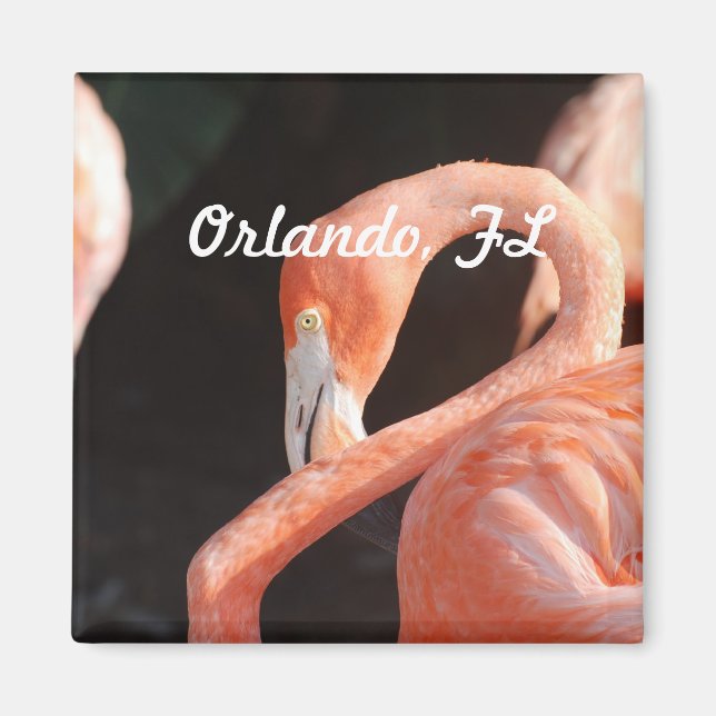 Orlando Magnet (Front)