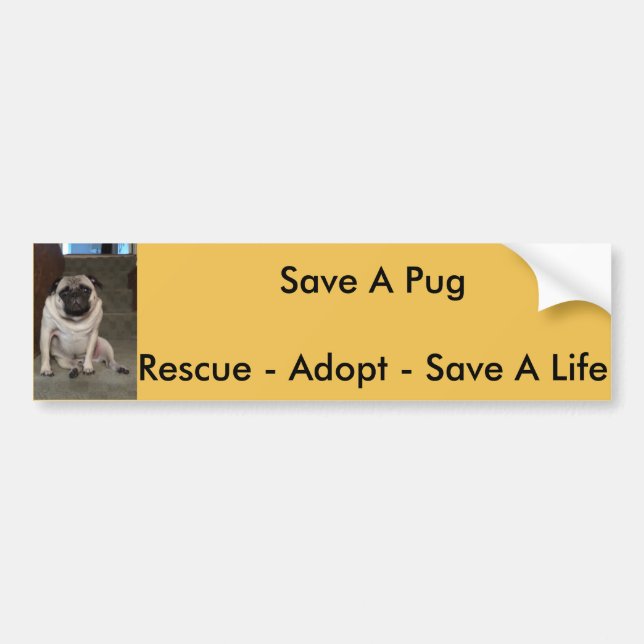 Orlando "Save A Pug" Bumper Sticker (Front)