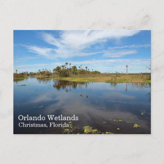 Orlando Wetlands Postcard, Christmas, Florida Postcard