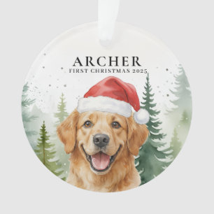 Ornament