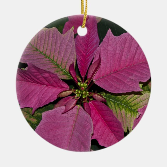 Ornament (Front)