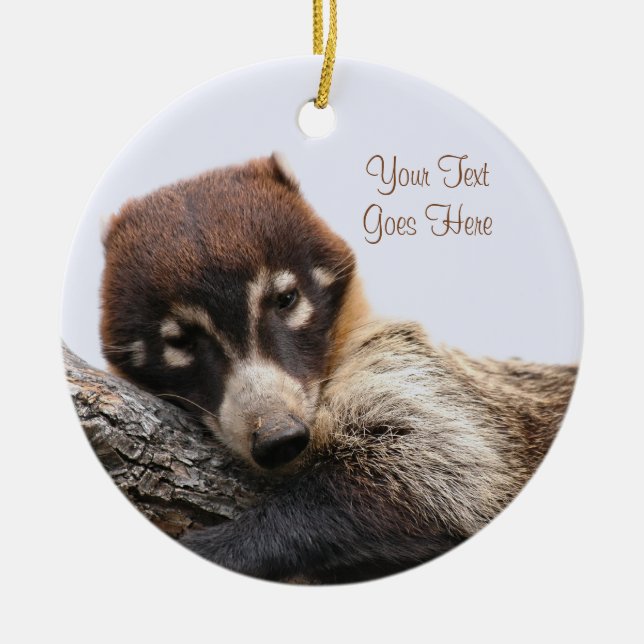 Ornament: Coatimundi #4 (Circle) Ceramic Ornament (Front)