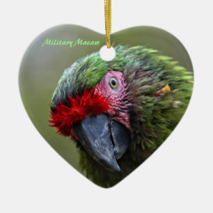 Ornament: Military Macaw (Heart) Ceramic Ornament
