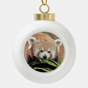 Ornament. noel, red panda. Panda roux. Ceramic Ball Christmas Ornament