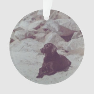 Ornament of Baker