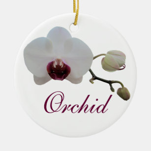 Ornament - Ruby-Lipped White Orchid
