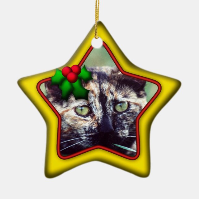 Ornament, Star, Double Sided Photo Ceramic Ornament (Front)