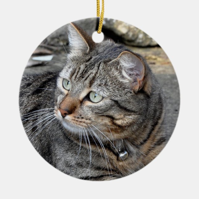 Ornament: Tabby cat Ceramic Ornament (Front)