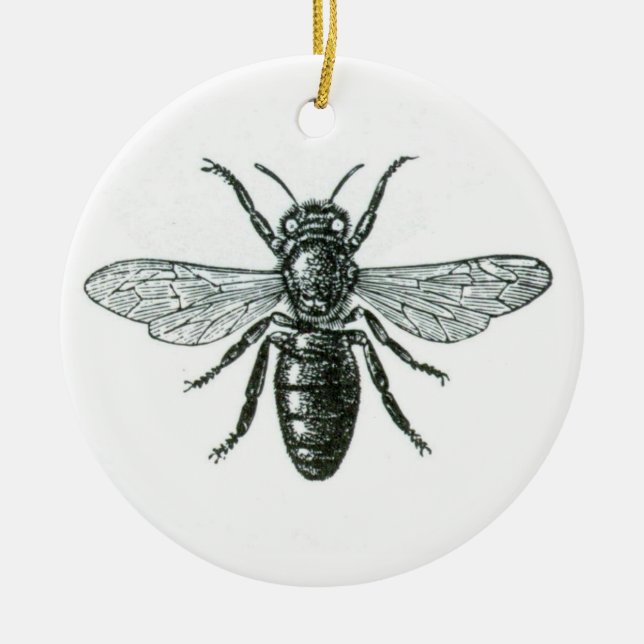 Ornament...Vintage bee Ceramic Ornament (Front)