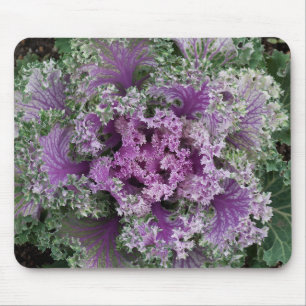 Ornamental Curly Leaf Cabbage Plant Mouse Pad