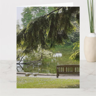 Ornamental Duck Pond   Card