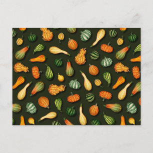 Ornamental Gourds for Autumn, Fall, Thanksgiving Postcard