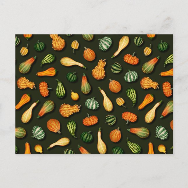 Ornamental Gourds for Autumn, Fall, Thanksgiving Postcard (Front)