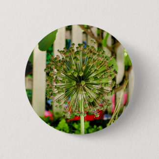 Ornamental Onion Badge 2 Inch Round Button