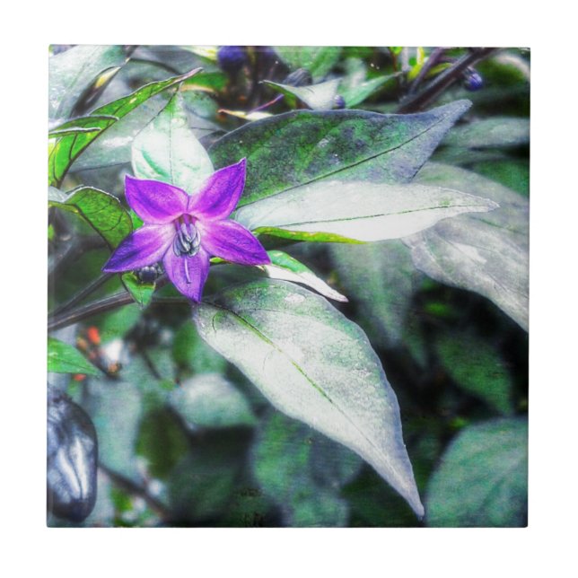 Ornamental Pepper Purple Flower Tile (Front)