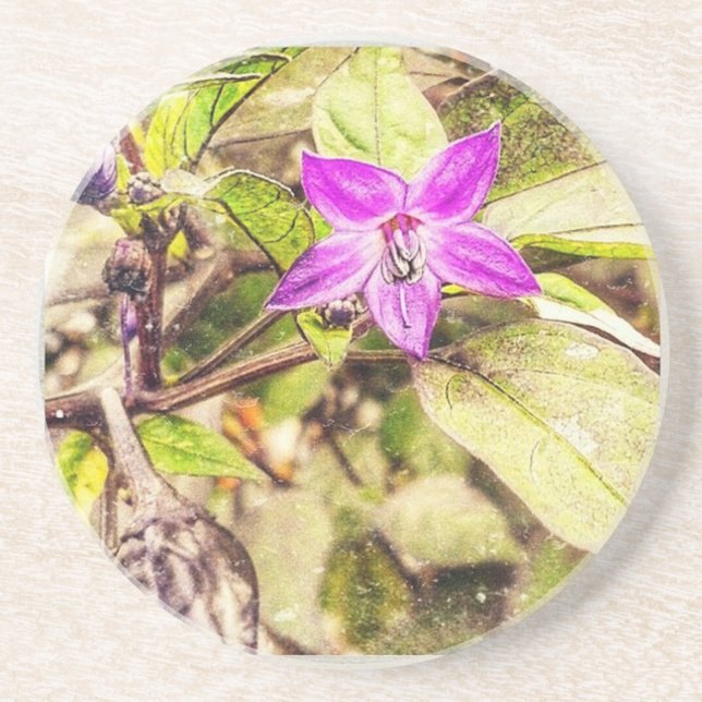 Ornamental Peppers Coaster (Front)
