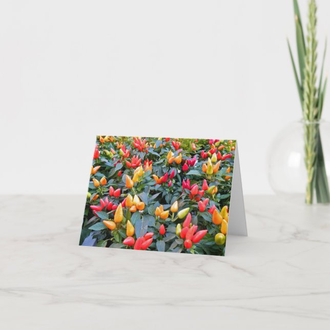 Ornamental Peppers Note Card (Front)