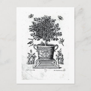 Ornamental tree in an urn on a small stage (engrav postcard
