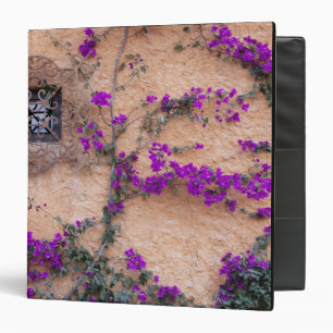 Ornamental window with bougainvillea binder