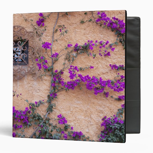 Ornamental window with bougainvillea binder (Front/Inside)