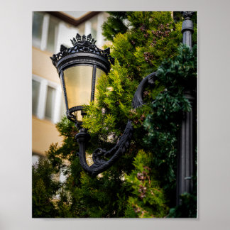 Ornate Black Cast Iron Street Lamp Poster