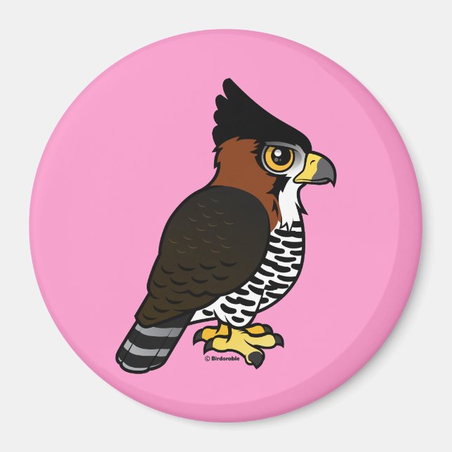 Ornate Hawk-Eagle Magnet (Front)