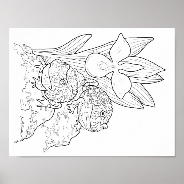 Ornate Horned Frogs coloring page Poster (Front)